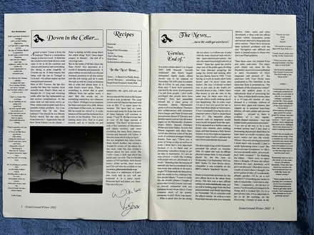 Photo of free HomeGround issue - Kate Bush fanzine (Goldhanger CM9) #2