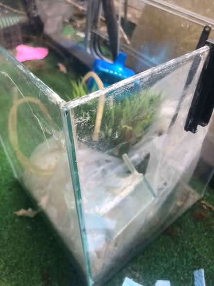 Photo of free Fish tank and gravel plant (Coley RG1) #2