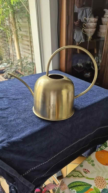 Photo of free Plant Watering Can (Bray) #1