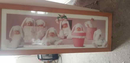 Photo of free Anne Geddes baby picture (Dukinfield SK16) #1