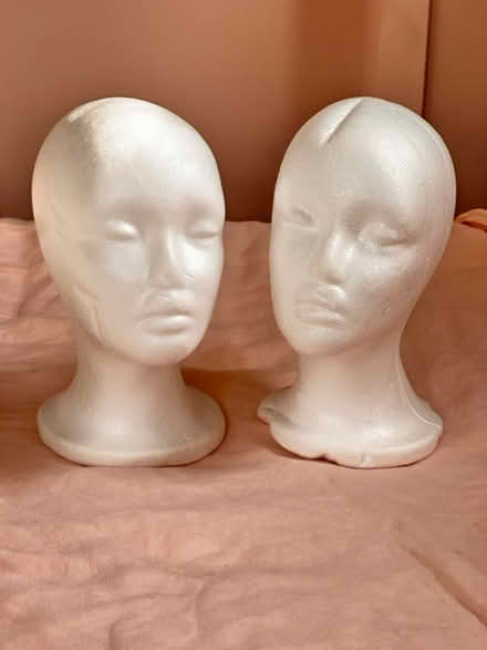 Photo of free Polystyrene Heads (Chailey) #1