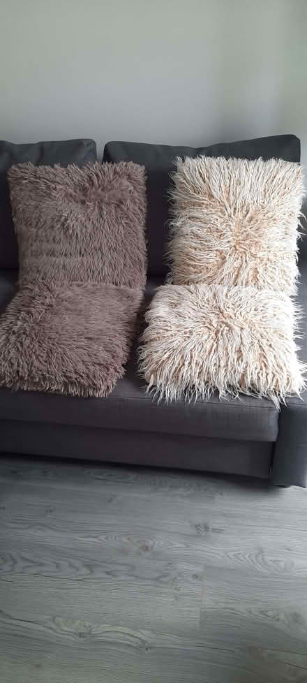 Photo of free 2 x Pair of scatter cushions in Cream and BrownGrey (Woodford IG8) #1