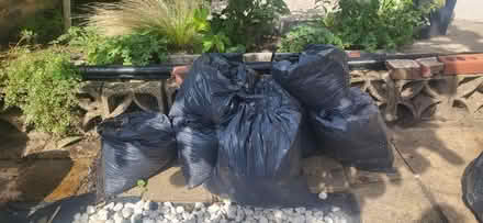 Photo of free Top soil from garden (Crofton Park se4) #1