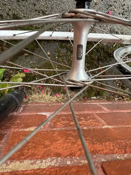 Photo of free Pair of 26” basic mountain bike wheels. QR, 7 speed (Formby L37) #3