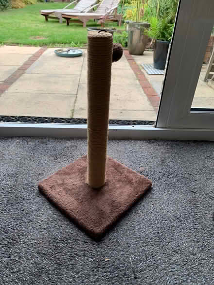Photo of free Short cat scratcher (Wheathampstead AL4) #1