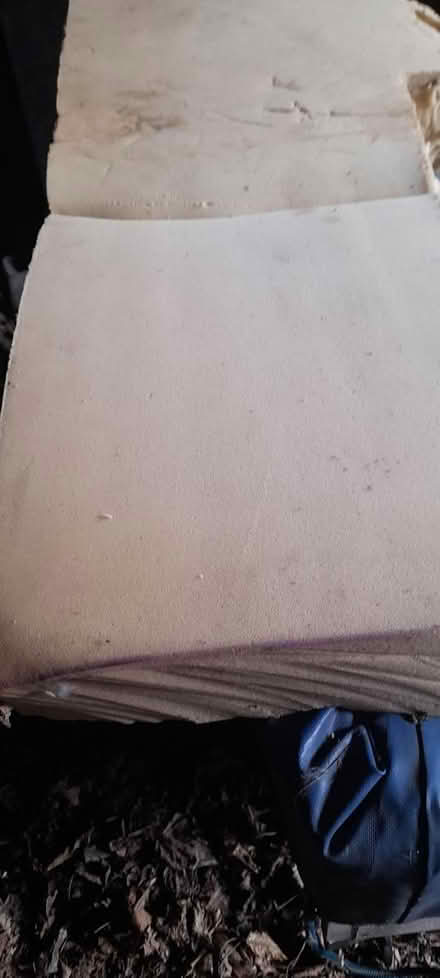 Photo of free Large sponge (Dodford B61) #4