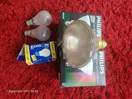 Photo of free 240v bulbs (Nether Edge S7) #4