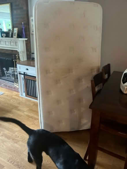 Photo of free Twin mattress (24 Sherwood Drive Haverhill) #1