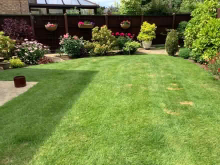 Photo of free Chairs (Apley TF1) #3