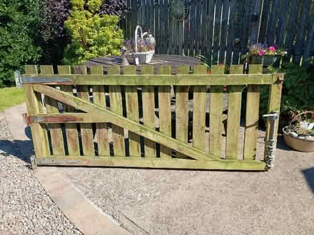Photo of free Gate (Auchinloch G66) #1