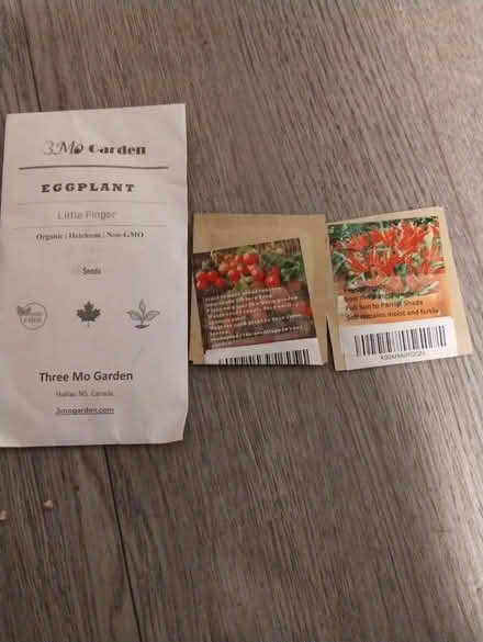 Photo of free Seeds (Parkdale) #1