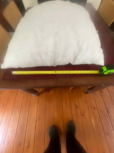 Photo of free Cushion inners (Sheffield Park TN22) #3