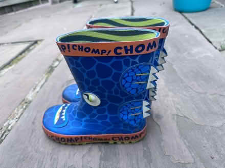 Photo of free Kid wellies. Size 12 (KT3 New Malden) #1