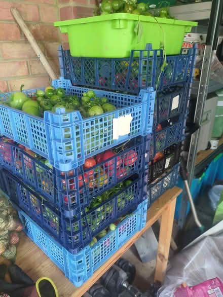 Photo of Blue stacking mushroom baskets (Castlepoint BH8) #1