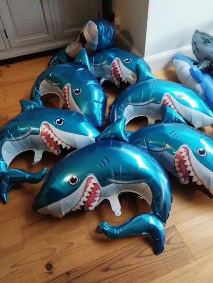Photo of free Shark party ballons (Stockbridge EH4) #2