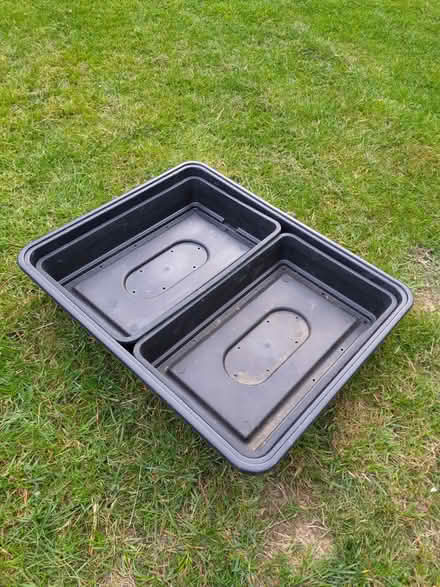 Photo of free Seed trays (Chineham RG24) #2