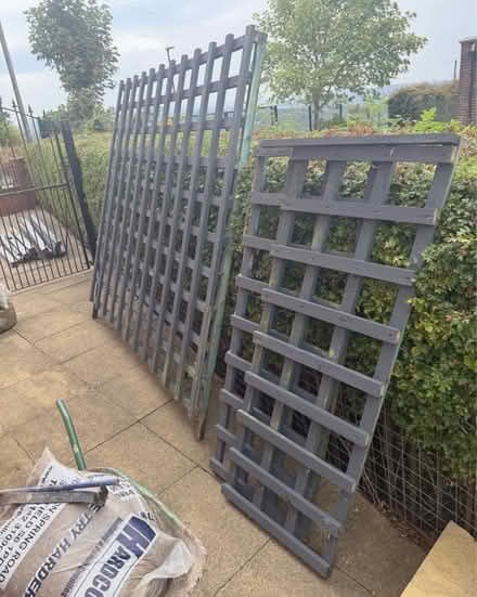 Photo of free trellis (Wybourn S2) #1
