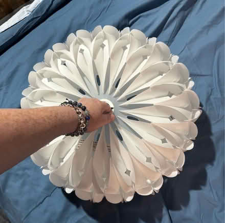 Photo of free Light Shade (St. Giles LN2) #3