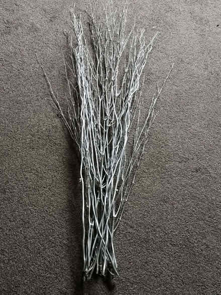 Photo of free Silver coloured branches (Burneside LA9) #1