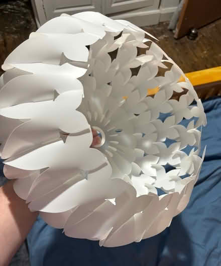 Photo of free Light Shade (St. Giles LN2) #4