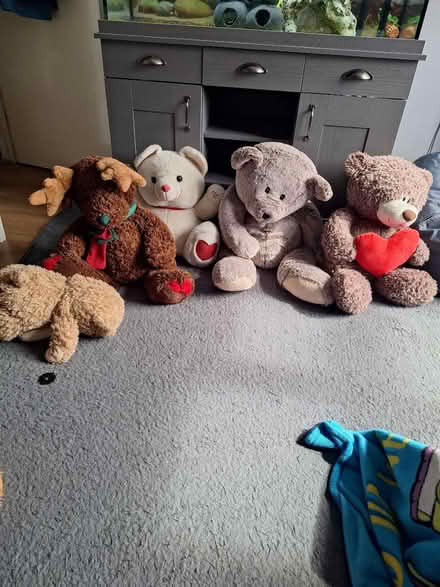 Photo of free Teddy's (Walthamstow) #1