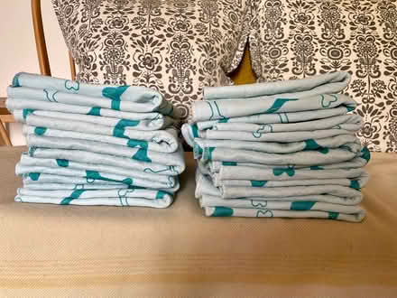 Photo of free 16x puppy training pads washable (West Bridgford NG2) #2