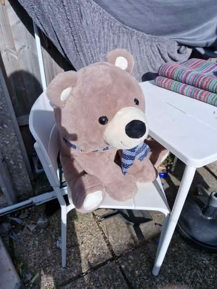 Photo of free Big cuddly bear (Weybridge KT13) #1
