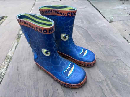 Photo of free Kid wellies. Size 12 (KT3 New Malden) #2