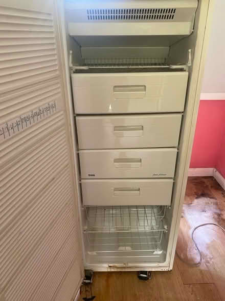 Photo of free Tall freezer (Epping. CM16) #1
