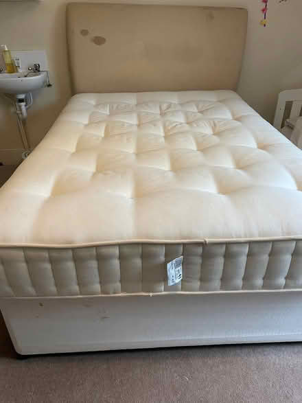 Photo of free mattress and divan (Richmond) #1