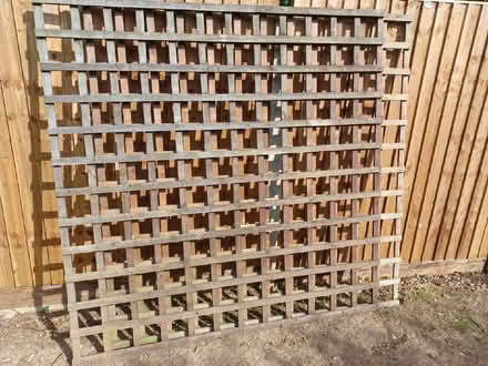Photo of free Two 6ft High Trellises (Woodley RG5) #1