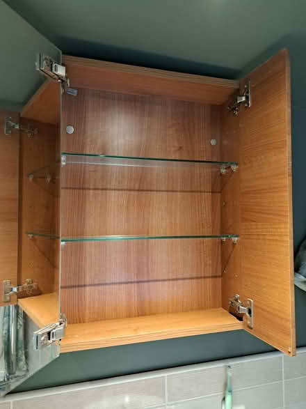 Photo of free Mirrored bathroom cabinet (Dronfield S18) #2