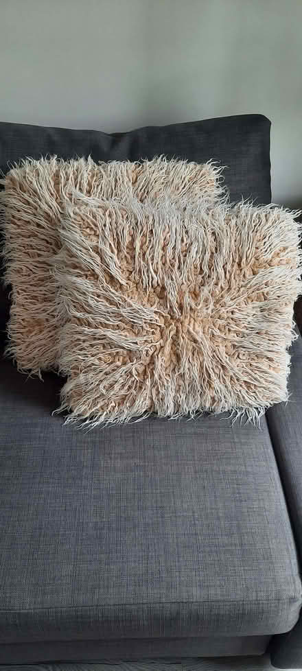 Photo of free 2 x Pair of scatter cushions in Cream and BrownGrey (Woodford IG8) #2