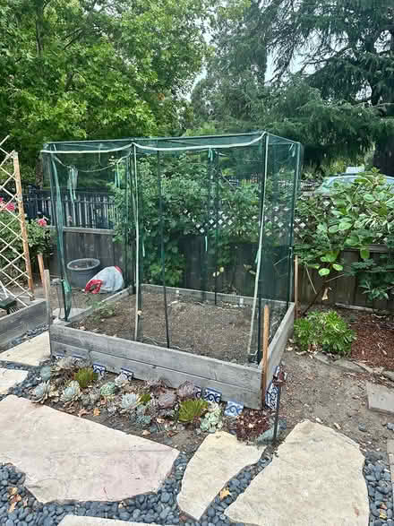 Photo of free 4x6 vegetable box and cage (Redwood city) #2