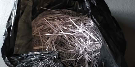 Photo of free 3 bin bags of shredded paper (Wavertree L15) #1