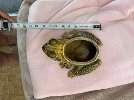 Photo of free Frog Planter (San Jose California) #1