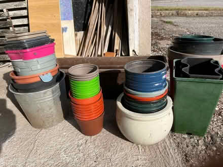 Photo of free plant pots (AB14) #1