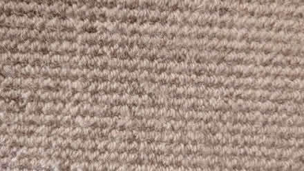 Photo of free Beige carpet 287 cm x 335 cm (Henleaze BS9) #1