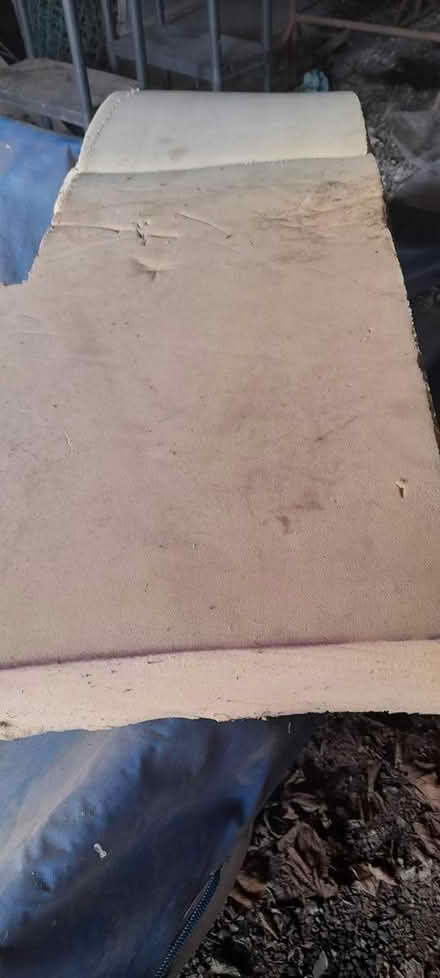 Photo of free Large sponge (Dodford B61) #1