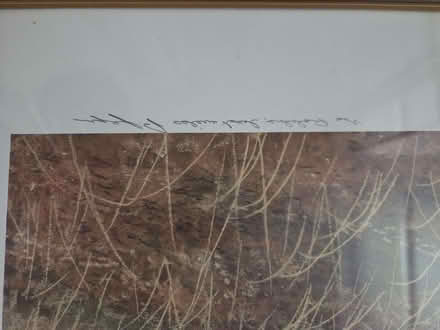 Photo of free Framed print of 3 leopards (Barkingside IG5) #2