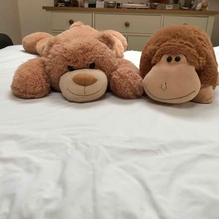 Photo of free Cuddly Toys (Whitchurch CF14) #2