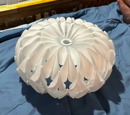 Photo of free Light Shade (St. Giles LN2) #1
