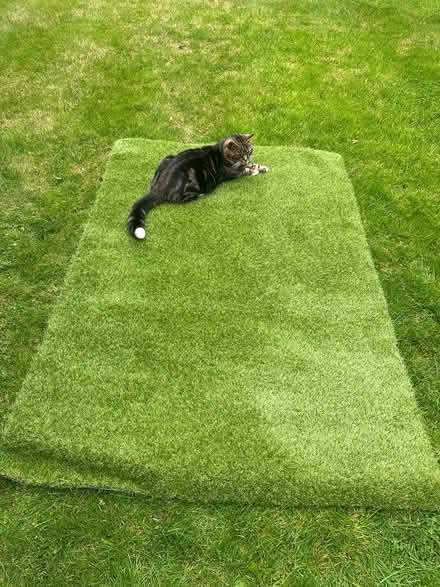 Photo of free Patch of fake grass (Reigate RH2) #1