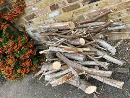 Photo of free Logs/kindling (Cox Green SL6) #2