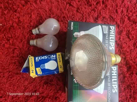 Photo of free 240v bulbs (Nether Edge S7) #3