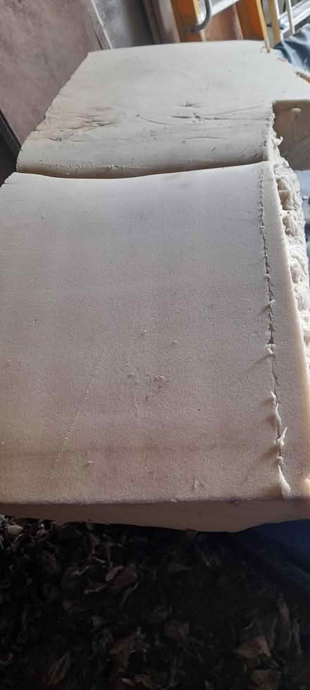 Photo of free Large sponge (Dodford B61) #3