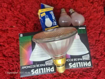 Photo of free 240v bulbs (Nether Edge S7) #1