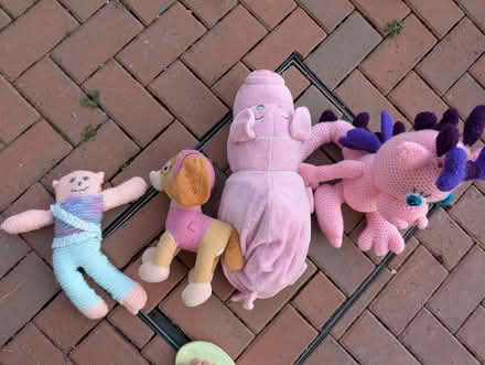 Photo of free Soft toys random (Broomgrove TN34) #1