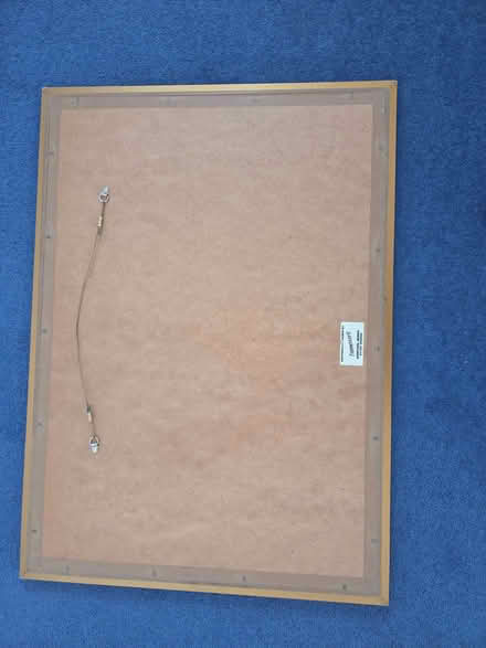 Photo of free Framed print of 3 leopards (Barkingside IG5) #3