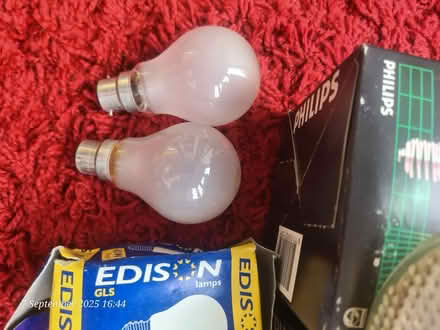 Photo of free 240v bulbs (Nether Edge S7) #2